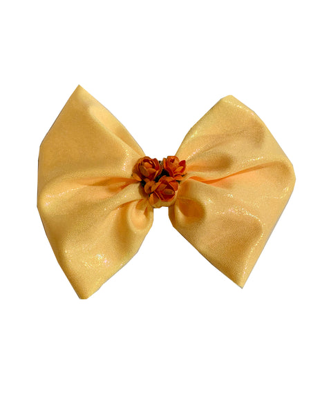 Iliana's Bow